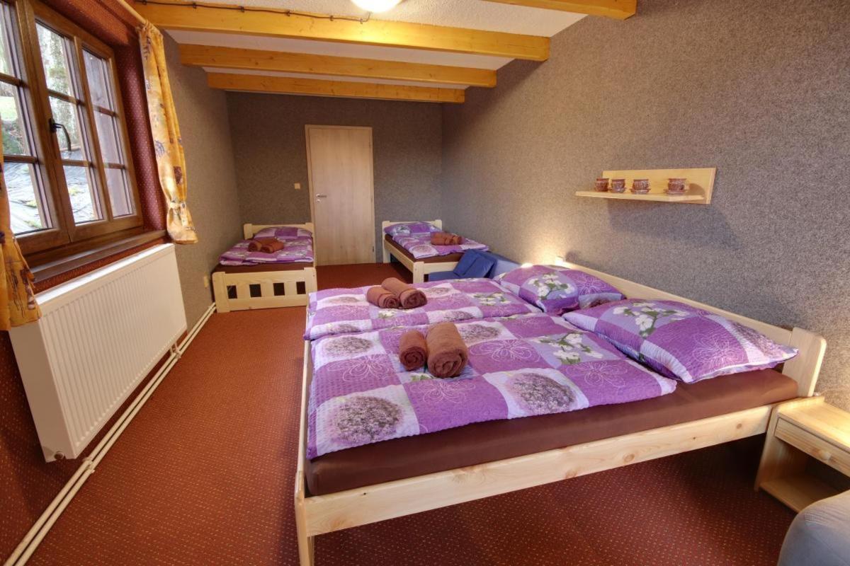 Penzion Harry Na Sjezdovce Krkonose Vysoké nad Jizerou Eksteriør billede